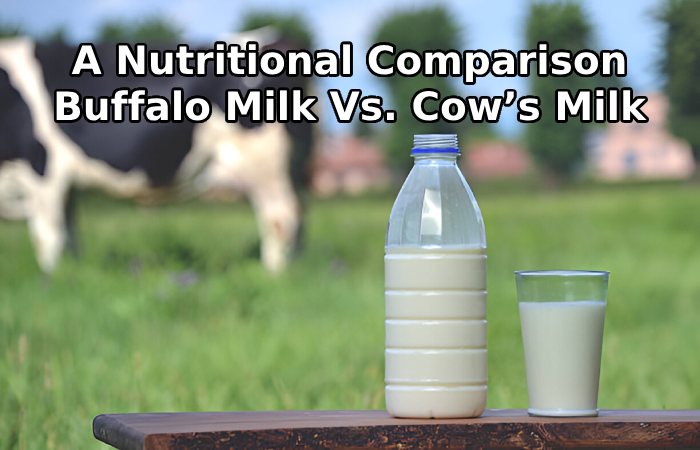 A Nutritional Comparison_ Buffalo Milk And Cow’s Milk